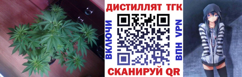 Купить где  Гулькевичи  ТГК THC oil 